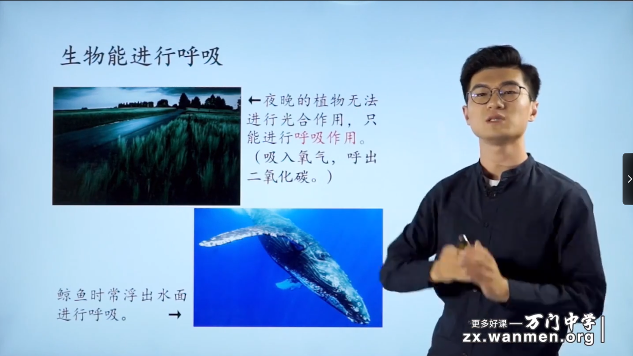 图片[4]-基础初中生物七年级上（靳翔宇）-学习资料网