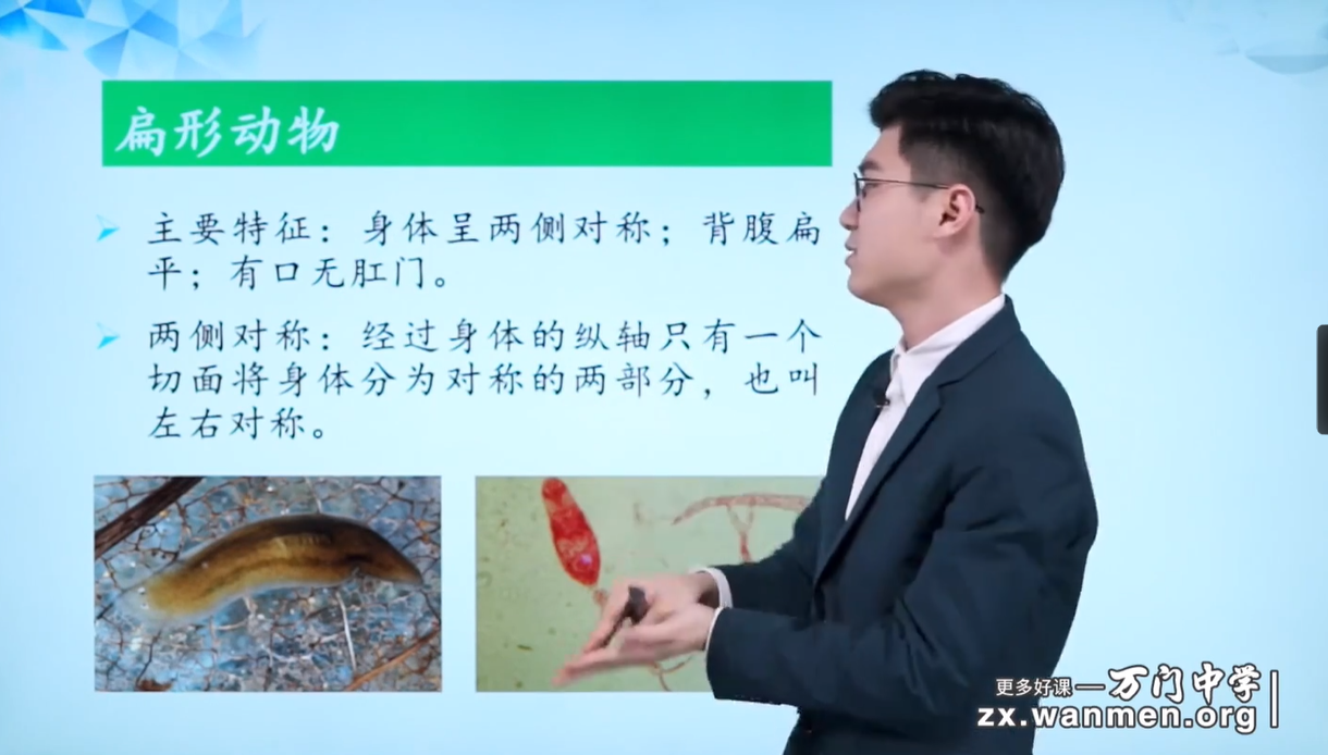 基础初中生物八年级上（靳翔宇）-学习资料网