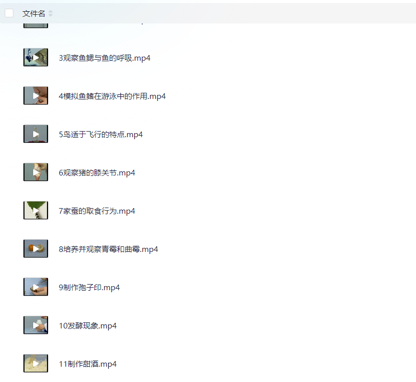 图片[3]-初中生物实验视频-学习资料网