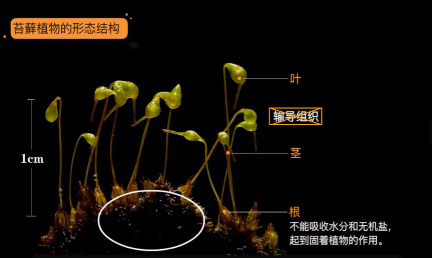 生物 七年级八年级（动画版）-学习资料网