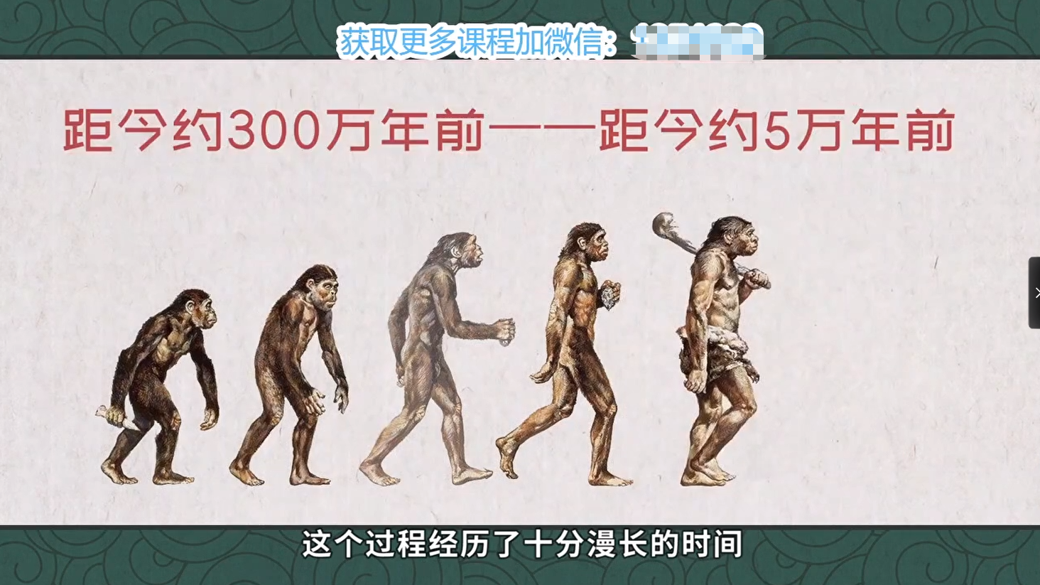 图片[2]-七年级历史上册 20讲-学习资料网